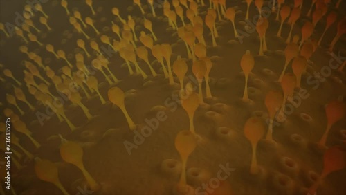 The Micro World Of Viruses And Bacteria. Loop 10-sec. The world is not accessible to the ordinary eye, but hides within itself countless forms of living life.