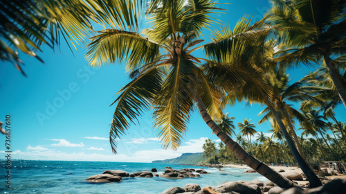 Photography showcasing paradise beach shaded by coconut trees. Amazing tropical backdrop. Generative AI