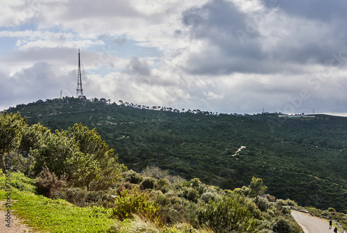 Scenic view from mount carmel in haifa with coniferous and deciduous trees and storm clouds