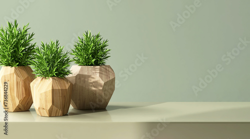 Three tropical indoor plants in modern design wooden pot on table countertop counter in sunlight, shadow on green background for organic luxury beauty, skincare, cosmetic, body care product display 3D