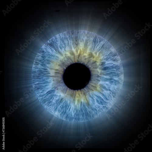 blue iris of the eye