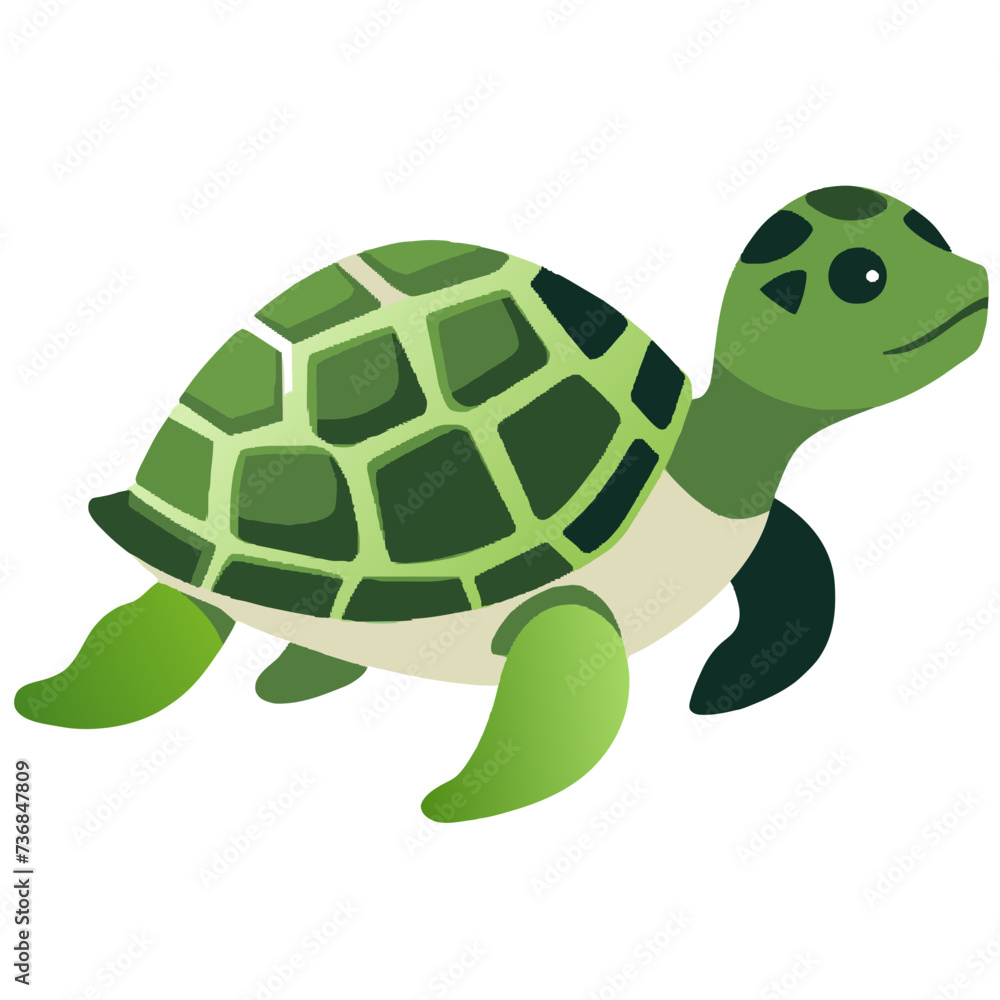 Obraz premium Green turtle vector isolated