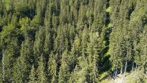 Aerial drone shot  of the Austrian Alps forest, nestled near the serene Lake Hallstaetter. The breathtaking alpine landscape unfolds, showcasing nature's grandeur from a unique perspective. photo