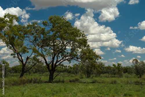Outback Scenery, Queensland, Australia