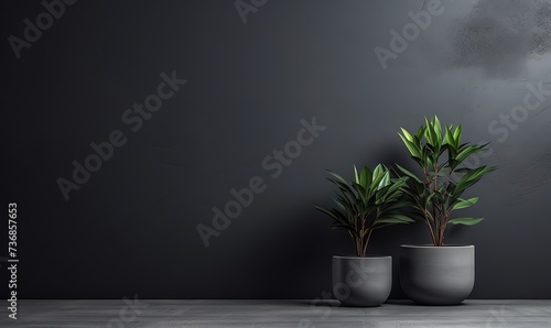 Empty room interior background with dark gray cement wall with copy space and pots with 3d plants
