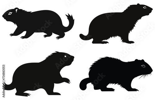 Groundhog running silhouette design  groundhog running  black vector design  