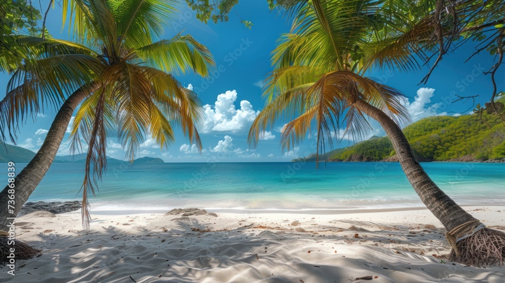 A beautiful exotic beach with palm trees, white sand and blue - obrazy, fototapety, plakaty 