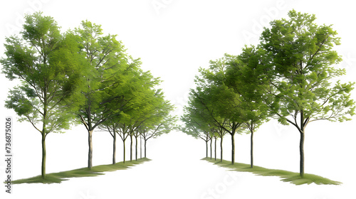 Outside trees landscaped shapes cutout backgrounds 3d render png