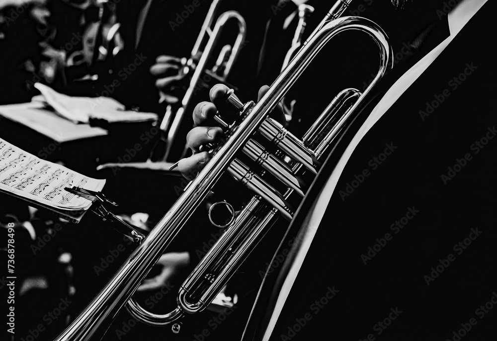 Obraz premium saxophone