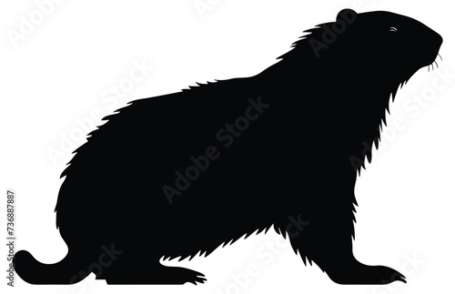 Groundhog Walking silhouette design, groundhog Walking black vector design,
 photo