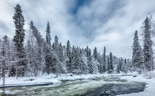 Winter in Finland; landscape in Oulanka National Park with half frozen river and snow covered boreal forest
 photo