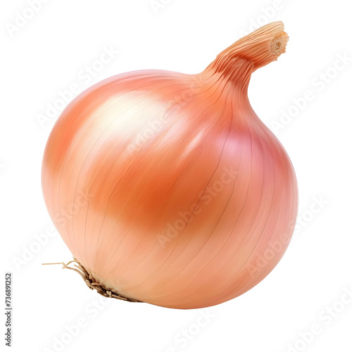 Fresh onion bulb isolated on transparent white background