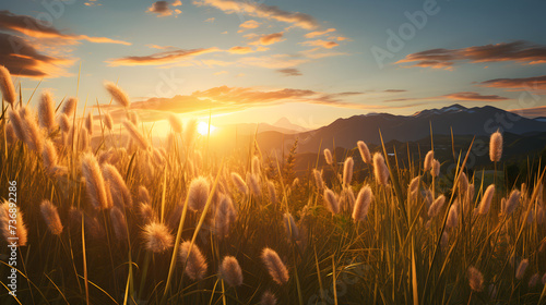Grass field flower on sunset sky in golden hour,,
Blue ice and cracks on the surface of the ice. Frozen lake under a blue sky in the winter. Cabin in the mountains. Mysterious fog. Carpathians. Ukrai
 photo