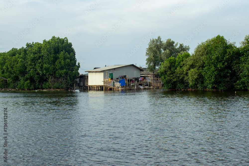 house on the lake or seafront with mangrove forest house on the lake or seafront with mangrove forest