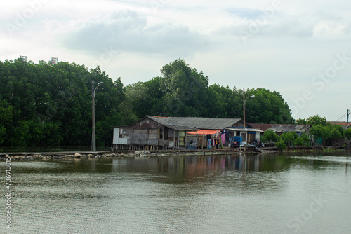 house on the lake or seafront with mangrove forest