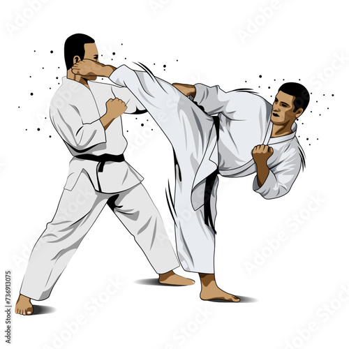 fighting training in Karate. Karate is a martial art originating from Japan. vector illustrator