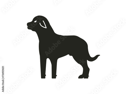 Dogs: Loyal companions offering unconditional love. Playful, affectionate, and protective. Diverse breeds, sizes, and temperaments enrich our lives