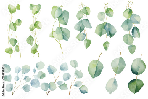 a bunch of green leaves on a white background