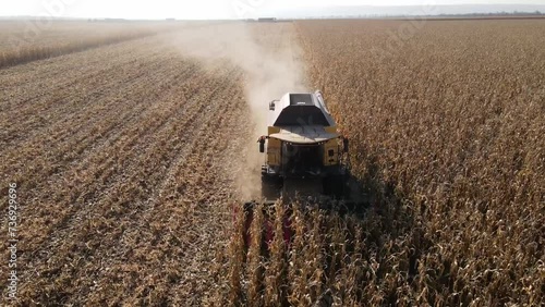 summer harwesting corn farm field ukraine 2022 photo