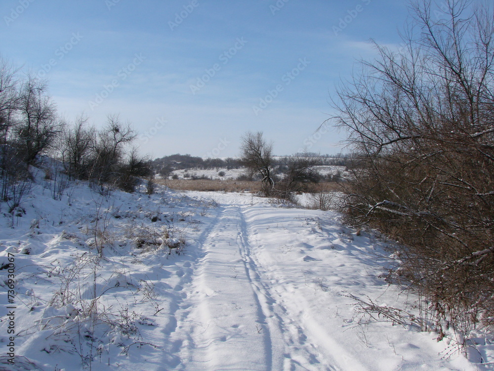 An unparalleled view of an untrodden forest road after a long snowfall under the rays of a bright frosty sun against the background of a white-blue sky on the horizon. An unparalleled view of an untrodden forest road after a long snowfall under the rays of a bright frosty sun against the background of a white-blue sky on the horizon.