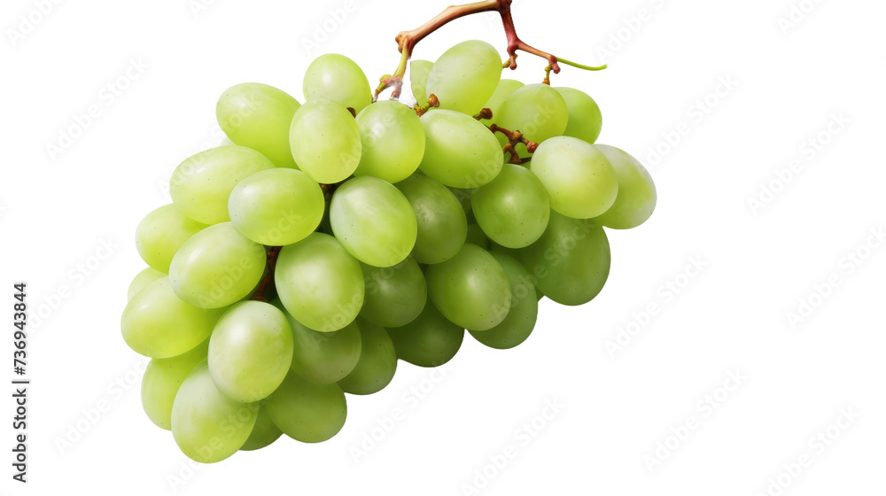 bunch of grapes on a transparent background bunch of grapes on a transparent background
