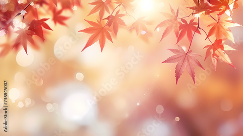 Autumn scenery  autumn scenery with falling maple leaves
