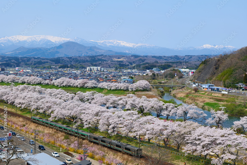 白石川一目千本桜。大河原、宮城、日本。4月上旬。