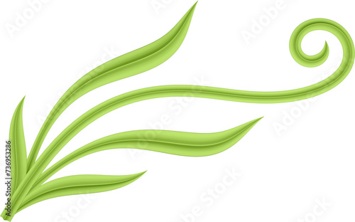 3D illustration rendering of a branch with curved leaves of different sizes on a transparent background