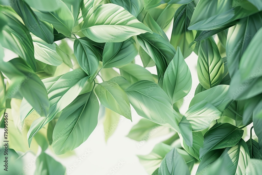 Fresh green leaves on a soft white background, creating a tranquil nature backdrop. Fresh green leaves on a soft white background, creating a tranquil nature backdrop.