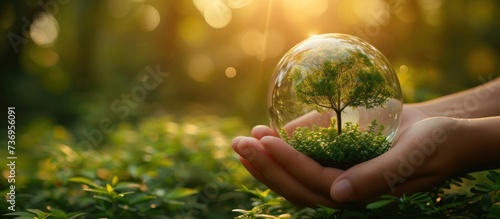Hands protecting globe of green tree