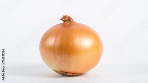 Onion isolated on a white background