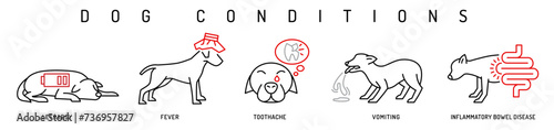 Dog health conditions icons. Hyperthermia, lethargy, vomiting in dogs. photo