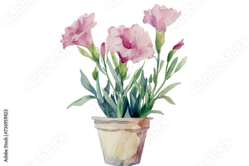 Watercolor of flowers bouquet in pot isolated on background, floral with green leaves for greeting card decoration, branches of flower.