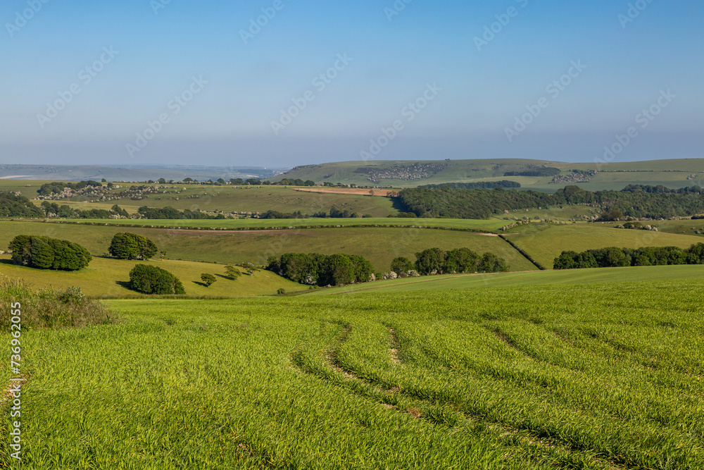 An idyllic Sussex landscape on a sunny day in late spring, with a blue sky overhead