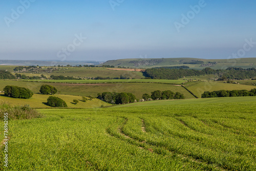 An idyllic Sussex landscape on a sunny day in late spring, with a blue sky overhead