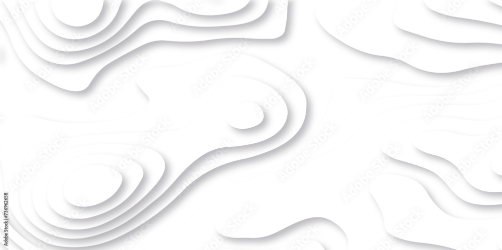 Abstract white paper cut background with lines. Background of the topographic map. White wave paper curved reliefs abstract background. Realistic papercut decoration textured with wavy layers. Abstract white paper cut background with lines. Background of the topographic map. White wave paper curved reliefs abstract background. Realistic papercut decoration textured with wavy layers.