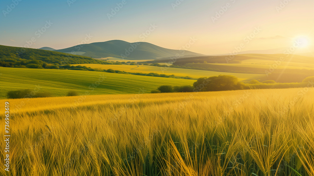 Beautiful Landscape with Golden Wheat Field, Green and Yellow Crop Fields, Rolling Hills, Mountaintop Hues, Warm Sunlight, Clear Sky - Stunning Rural Scenery Using Natural Morning or Afternoon Light