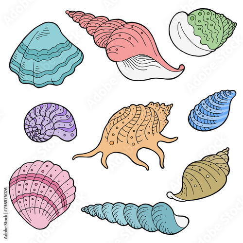 Shell set graphic color sketch illustration vector 