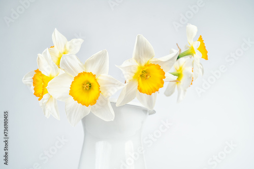 Still life with a blooming bouquet of white daffodils in a white vase on a white background