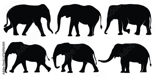 Animal Elephant Silhouettes vector illustration photo