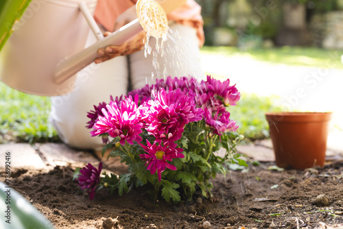 Gardener tends to vibrant flowers outdoor photo