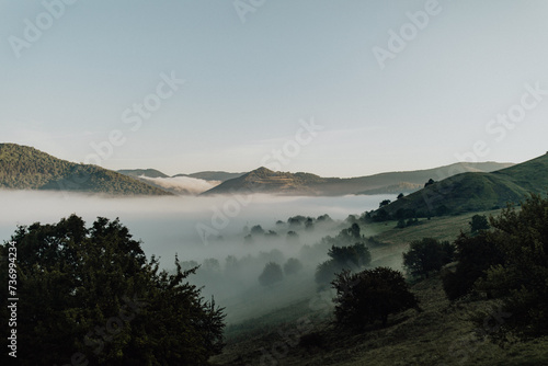 Breathtaking view of beautiful dense foggy meadow. Morning haze over the Green hills