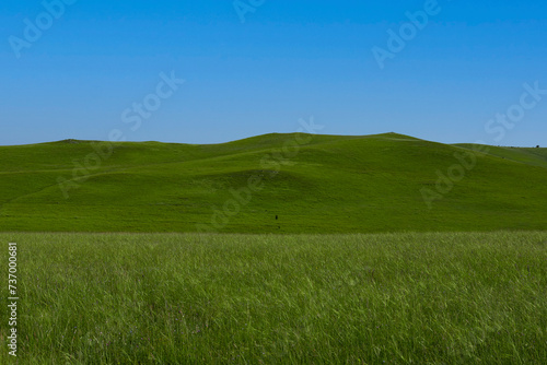 A picturesque view of the green steppe hills  pastures stretching into the distance.