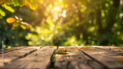 Sunlight Filtering Through Leaves on a Rustic Wooden Surface