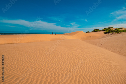 A man and a woman walking on the beach at Mambrui Sand dunes in Malindi  Kenya