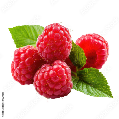 Raspberries on transparent background