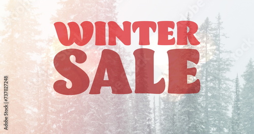 Image of winter sale text in red over winter landscape background