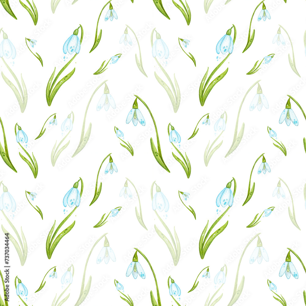 Seamless pattern of hand-drawn watercolor illustrations. Spring, bright, floral, cartoon, spring, flowers, snowdrops, garden, gardening, floriculture