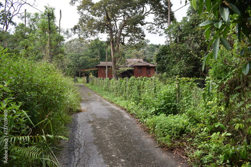 small road to a village house