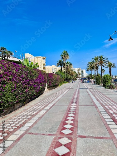 The city promenade by the sea, surrounded by flowers, palms and sun © Ligita